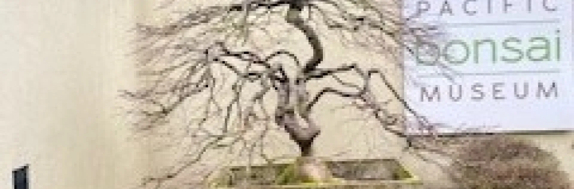 photos by Jennifer DeDora