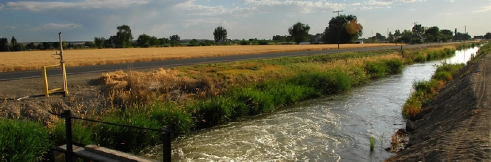 irrigation ditch