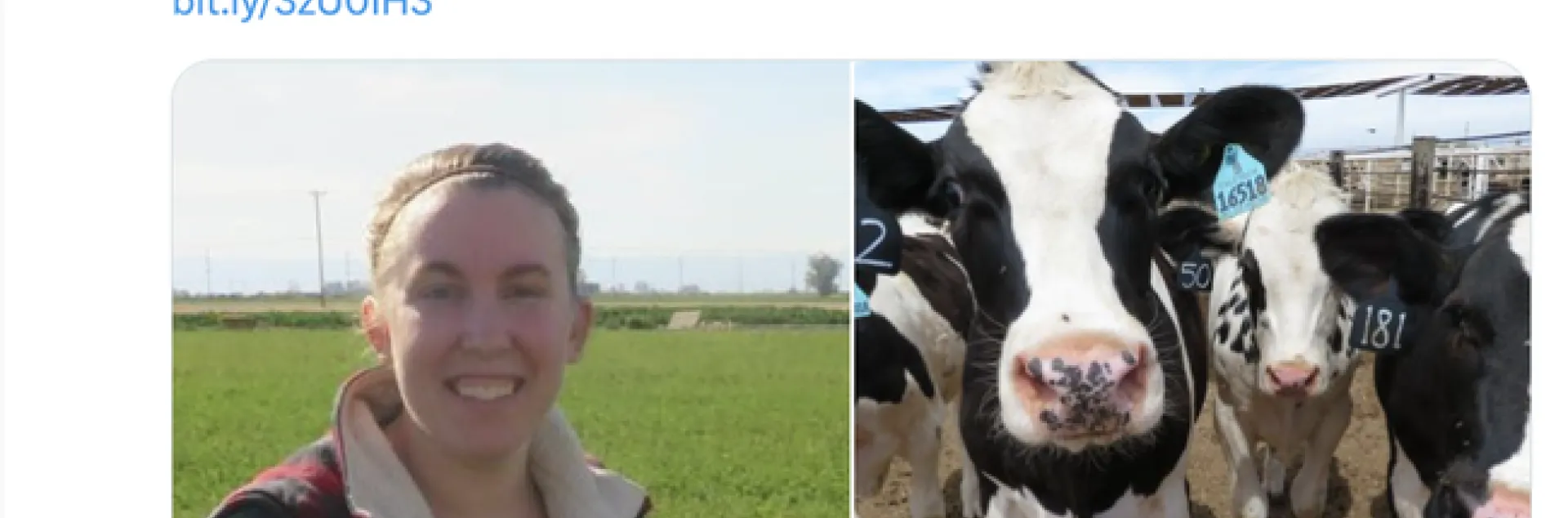 Brooke is pictured next to a photo of black and white cows.