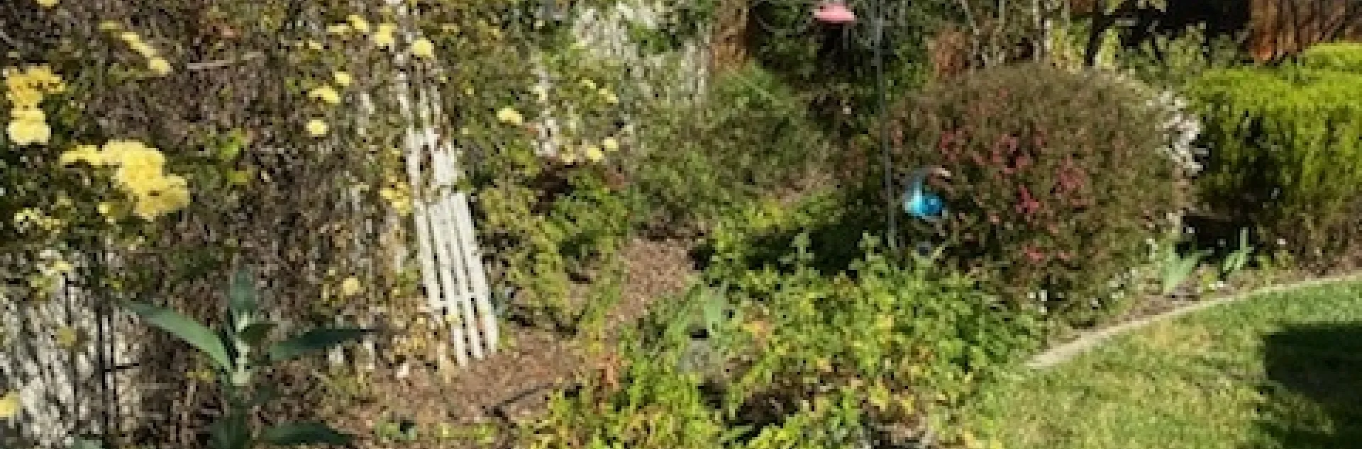 photo by Mike Gunther