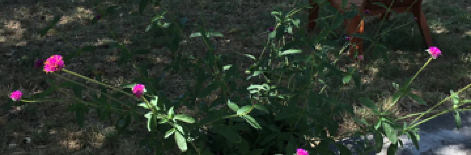 photos by Heather Hamilton