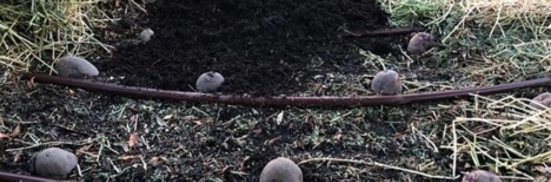 photo by Alex Russell