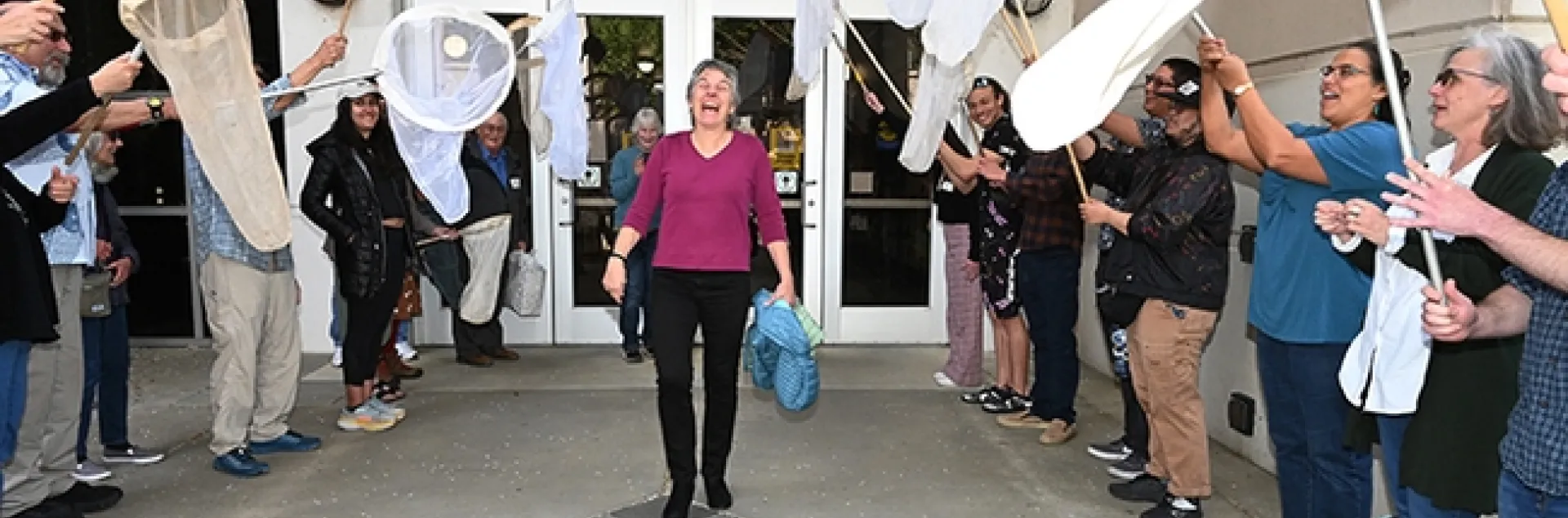 UC Davis distinguished professor emerita Lynn Kimsey walks under the archway of a 21-insect net salute. (Photo by Kathy Keatley Garvey)