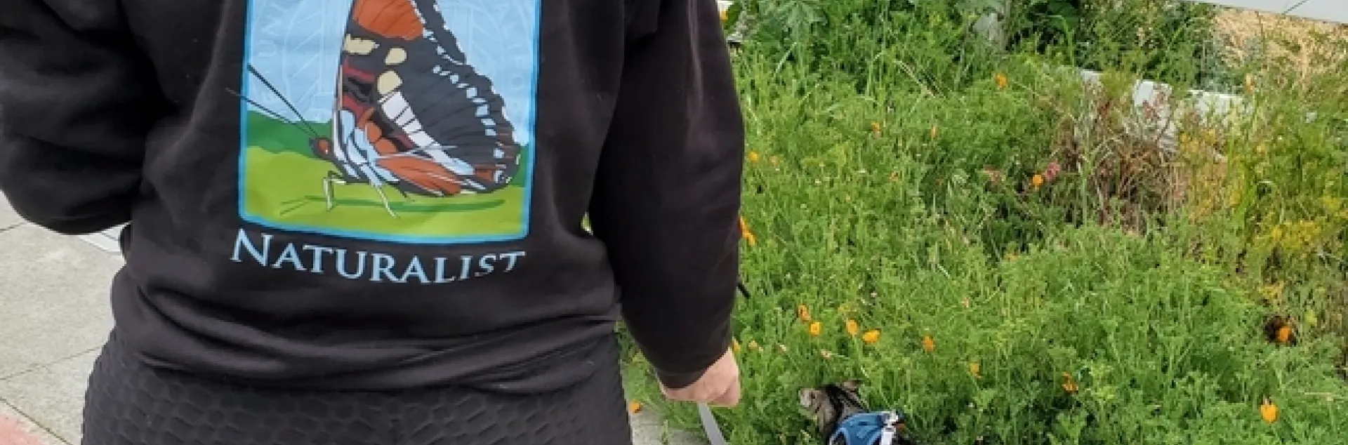 Sarah-Mae Nelson and her cat walked for UC ANR Moves in 2021.