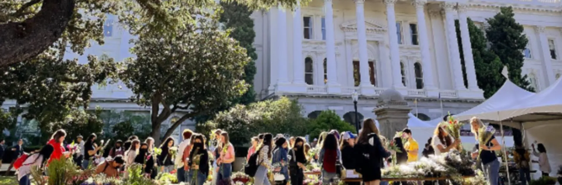 Large group of people in from of the CA state capital.