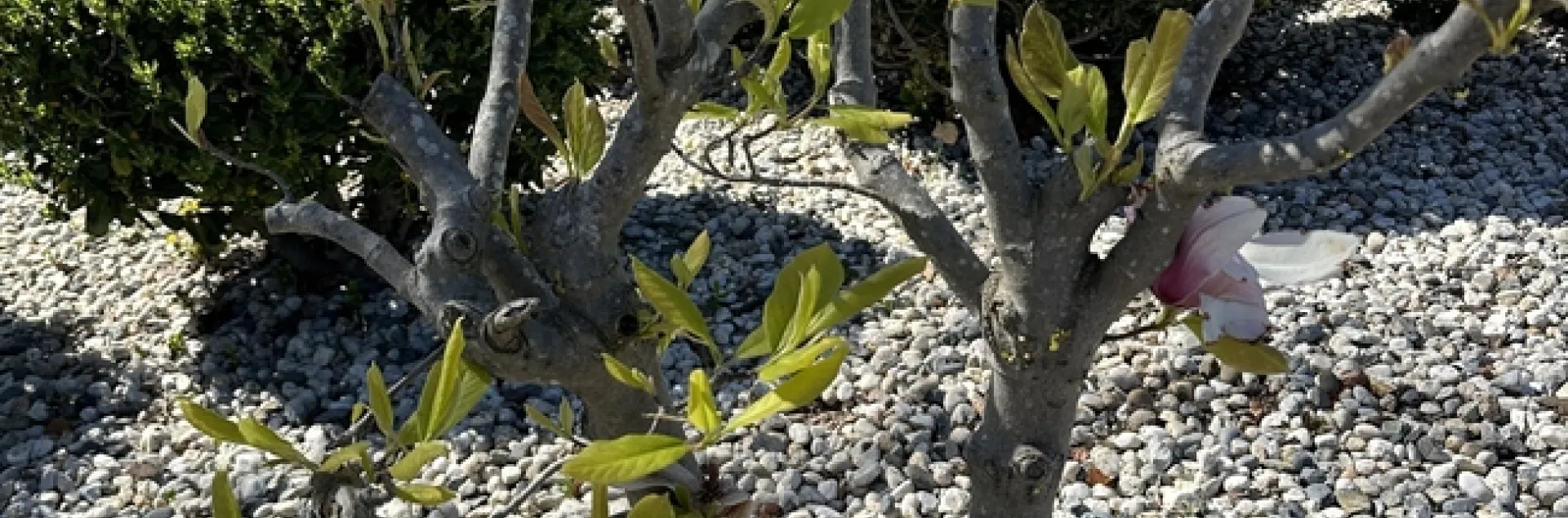 photos by Erin Mahaney