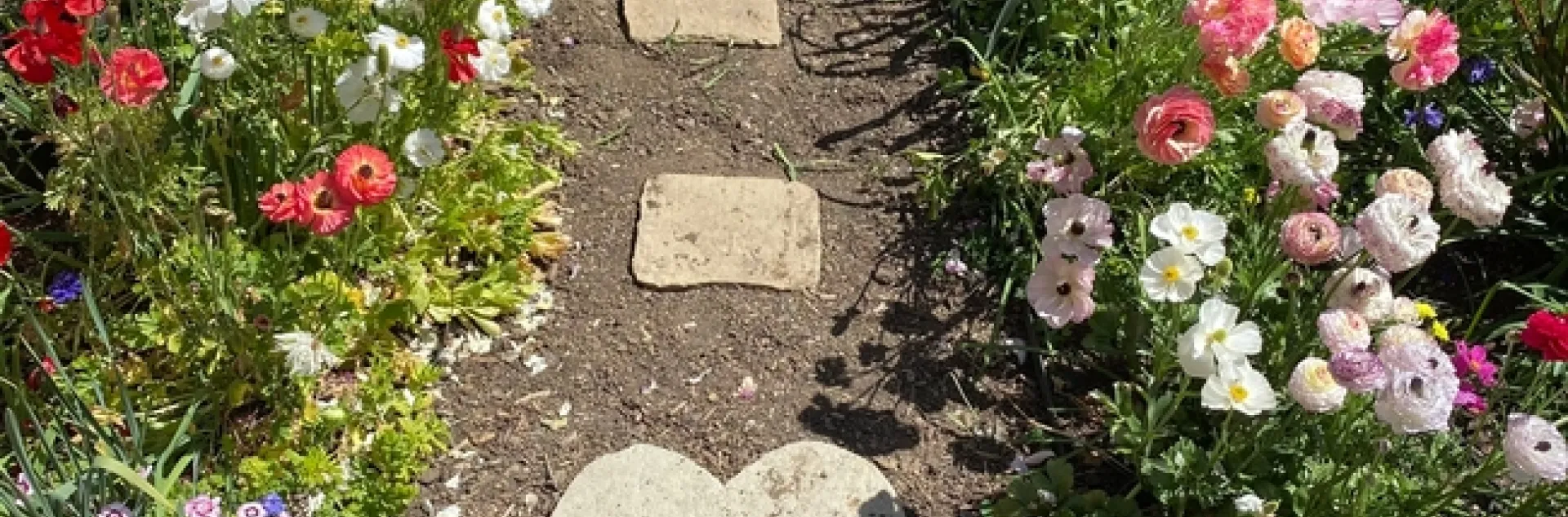 photos by Erin Mahaney