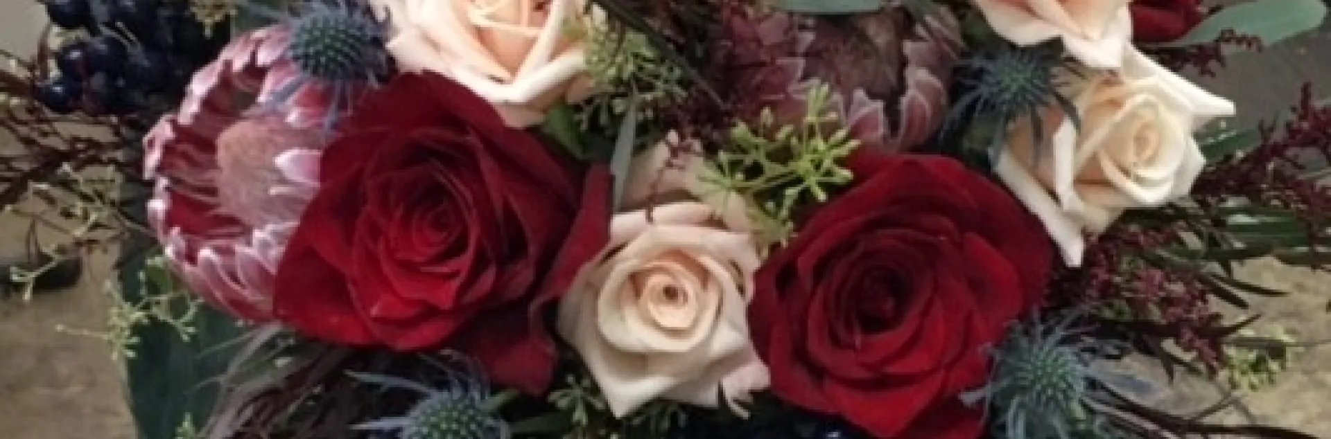 photos by Heather Hamilton