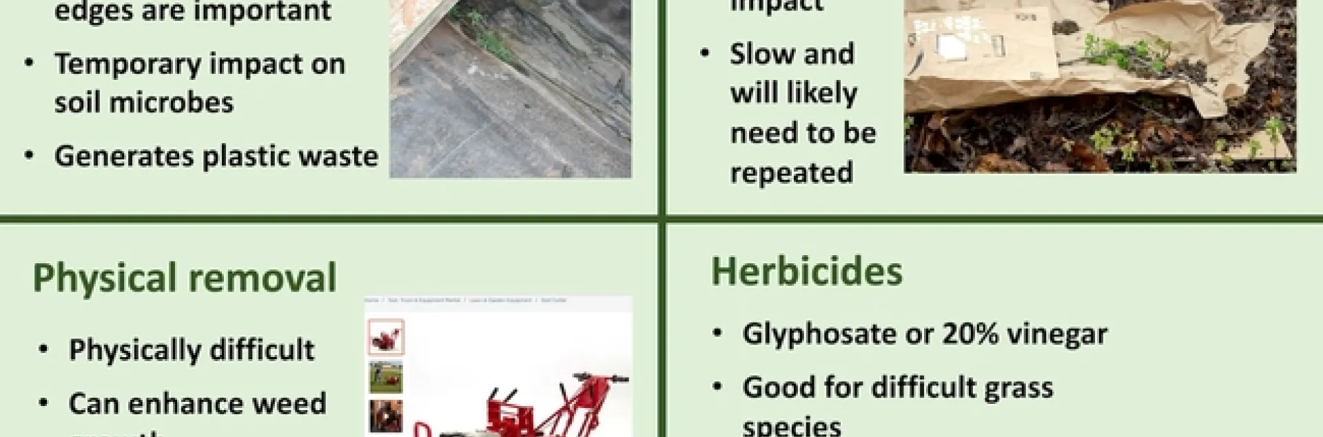 List of options for turf removal
