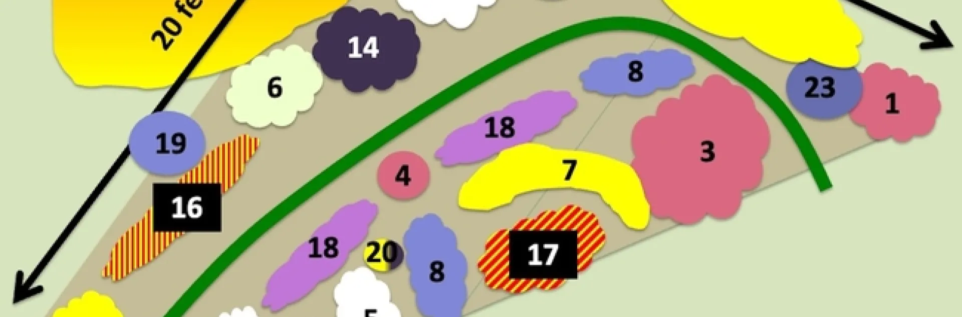 Pollinator garden planting plan