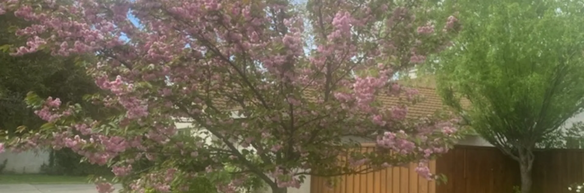 photos by Mike Gunther