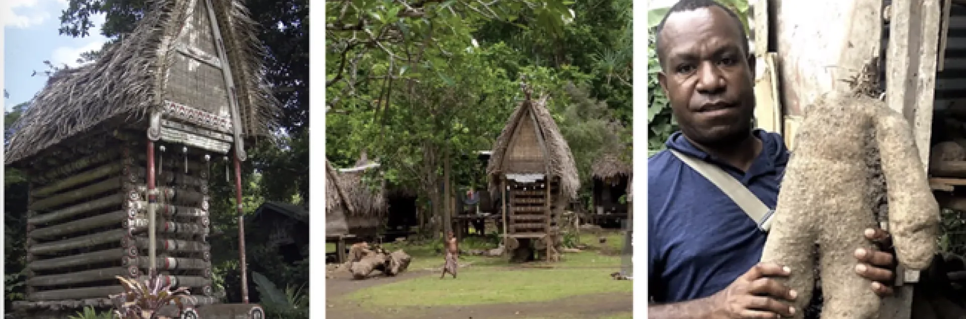 On right, Phil Waisen holds a yam, a major food crop in Papua New Guinea. On left and center are yam houses, where the crop is stored.