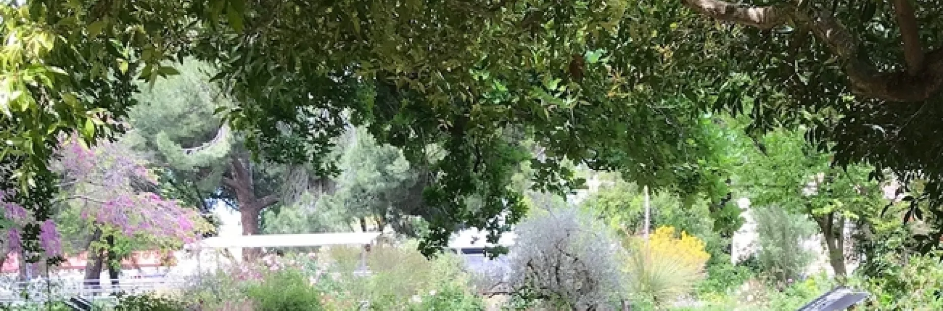 Ruth Storer Garden. photos by Karen Metz