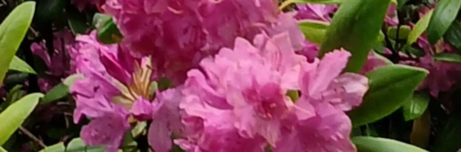 photos by Lanie and Jenny Keystone