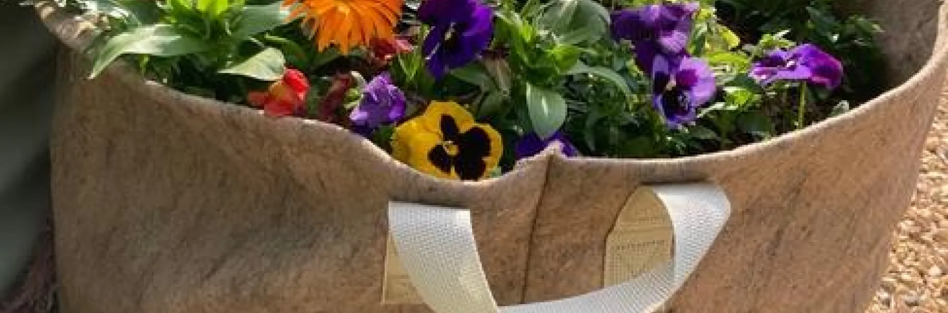 Plant flowers in the garden or near the garden to attract pollinators. Here a large pot of flowering plants is adjacent to the garden bed. (Photo: Ann Edahl)