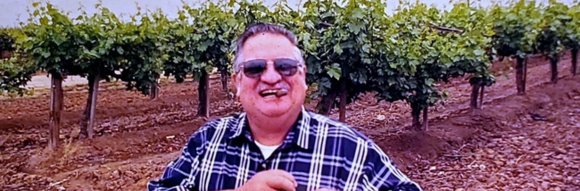 Luvisi, wearing a plaid shirt, stands, grinning, in a vineyard.