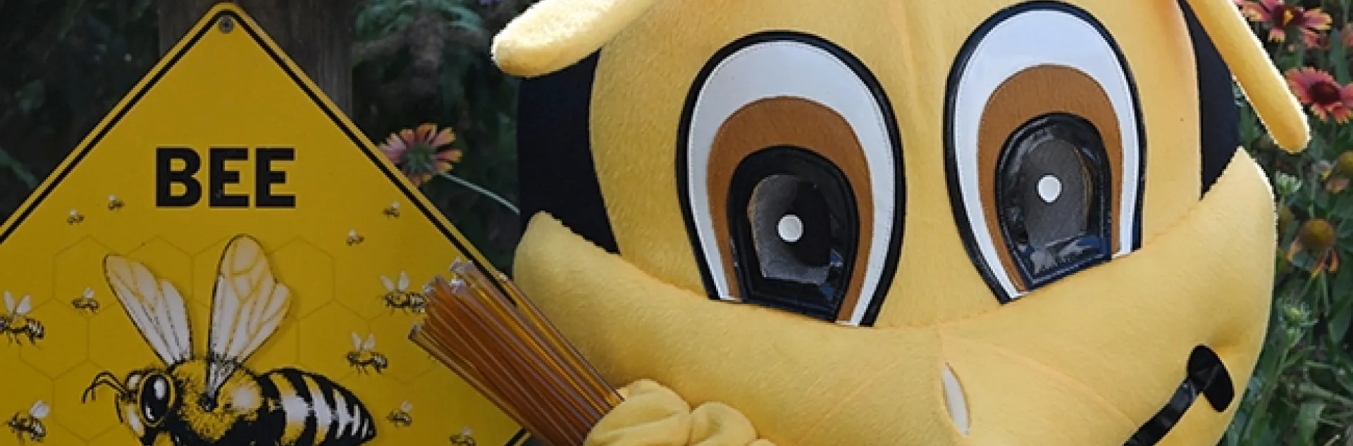 At the Vacaville Museum Children's Party on Aug. 8, a walk-around Queen Bee (costume from the UC Davis-based California Master Beekeeper Program) will hand out honey sticks donated by Z Specialty Food, Woodland. (Photo by Kathy Keatley Garvey)