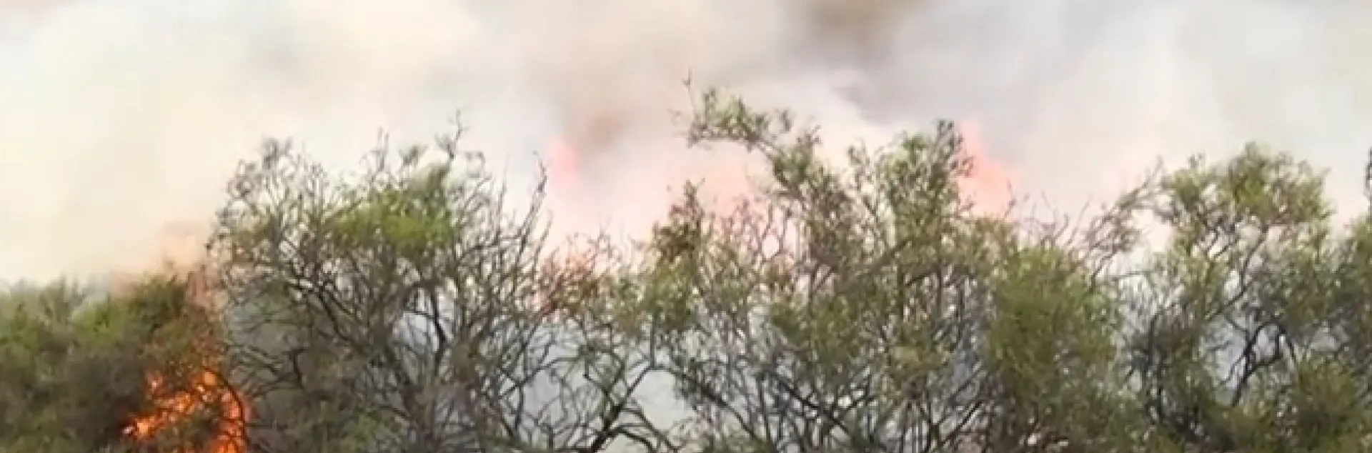 Humo de incendios sobre matorrales.