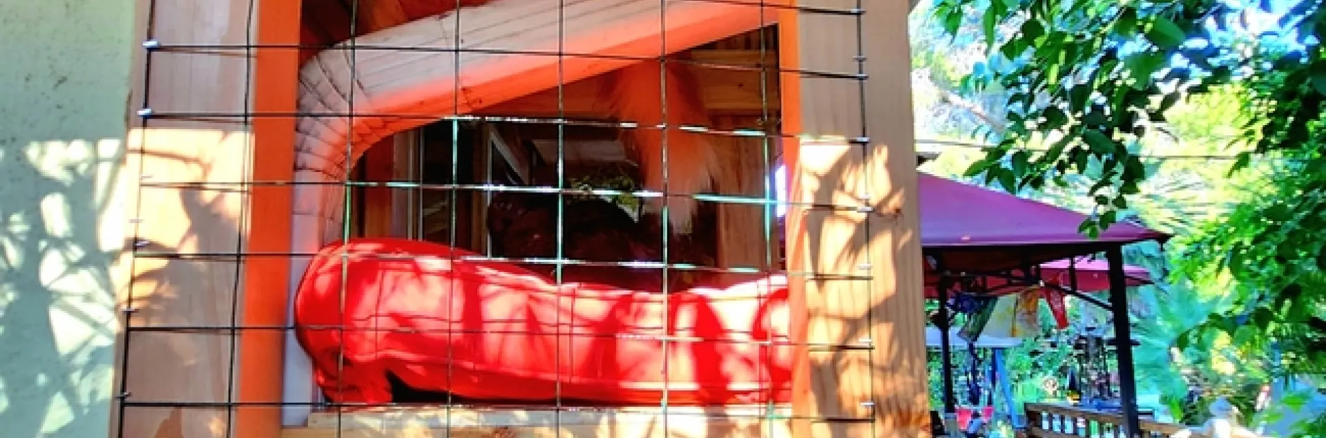 Space for catio - A. Alvarado