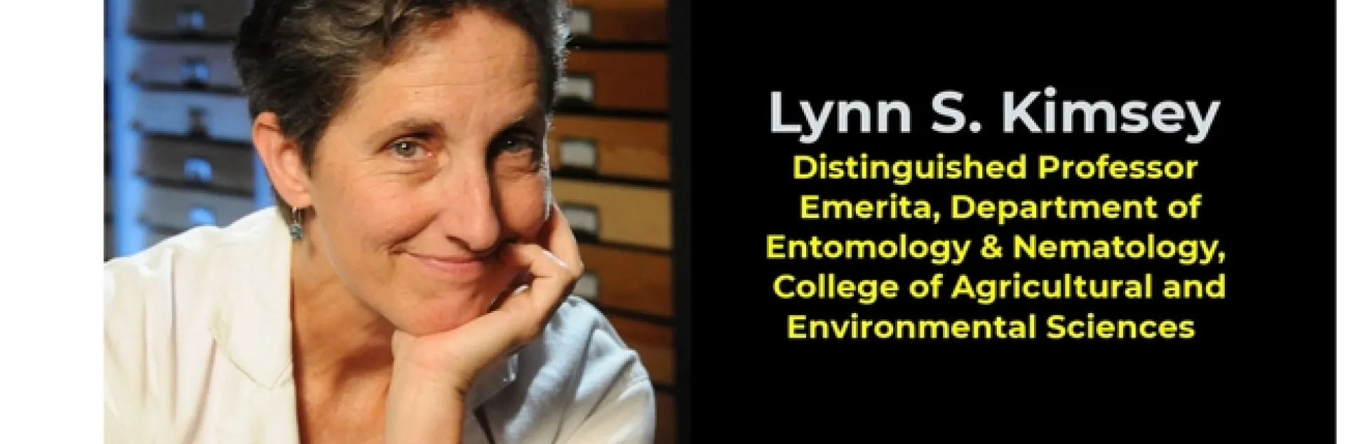 UC Davis distinguished professor Lynn Kimsey is featured in the newest UC Davis video tribute to emeriti, a public service project of UC Davis distinguished professor Walter Leal.