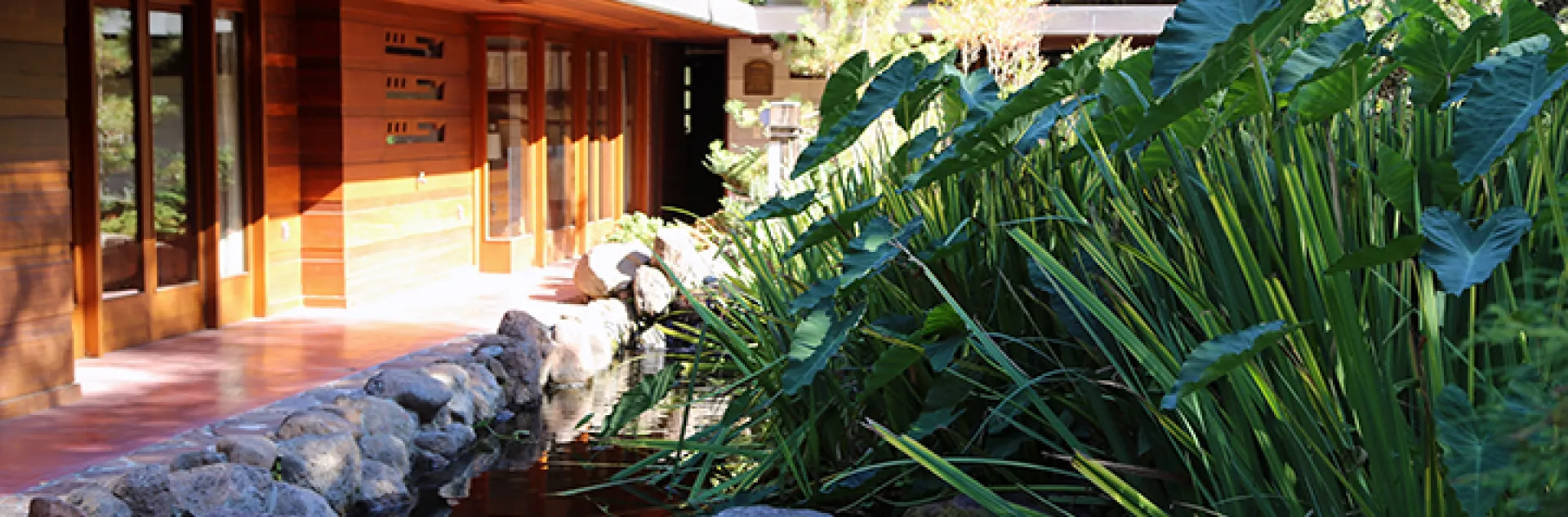 Defensible Space Zone 1. Photo courtesy of Hedwig Van Den Broeck.