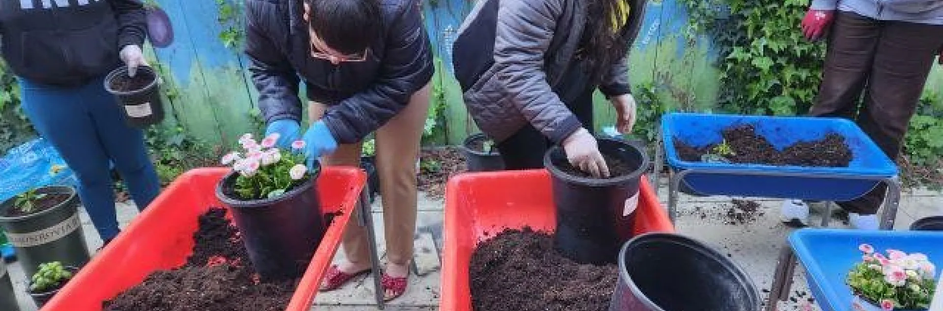 Jardineros potting up plants.