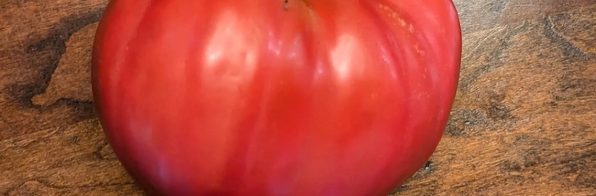 photos by Nanelle Jones-Sullivan