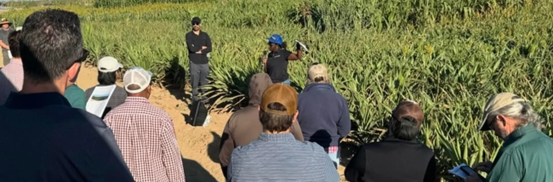 Jackie Atim discussing sorghum trials