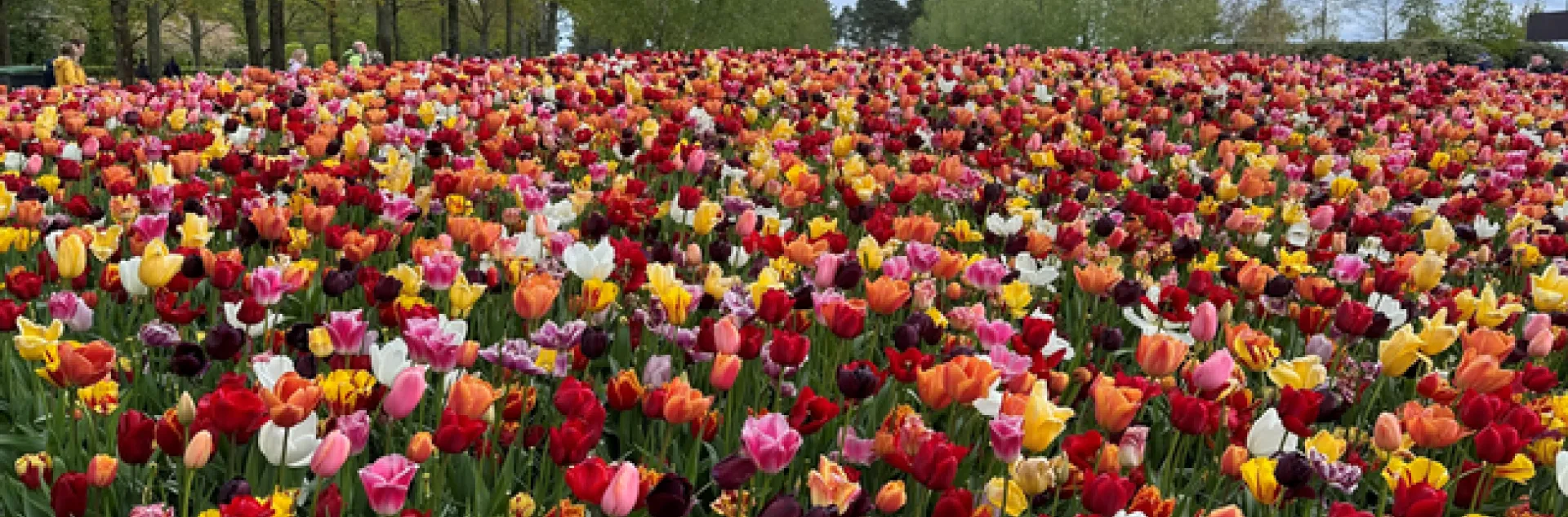 photos by Erin Mahaney