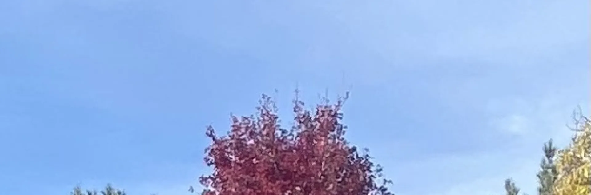 photo by Mike Gunther