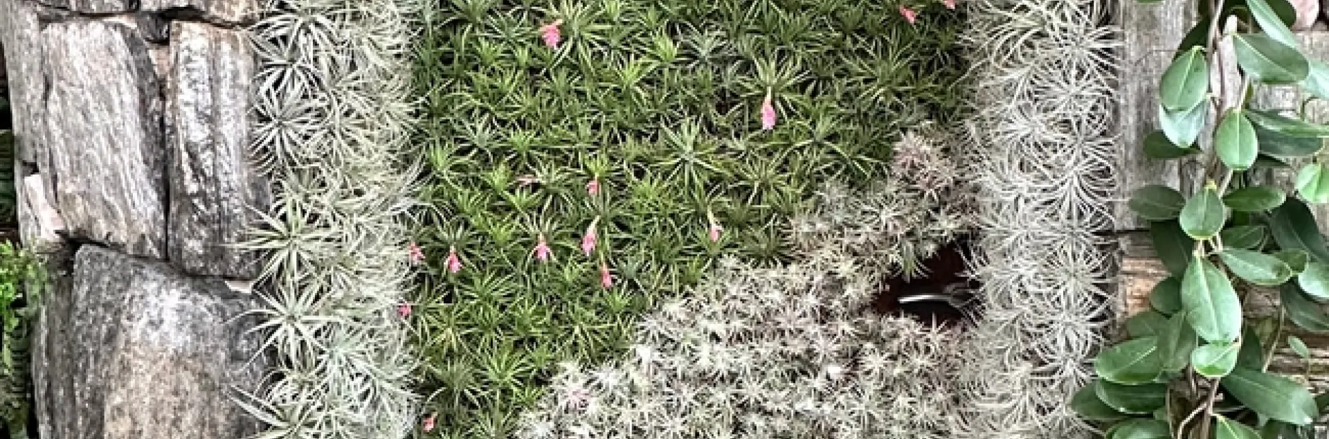 photos by Erin Mahaney