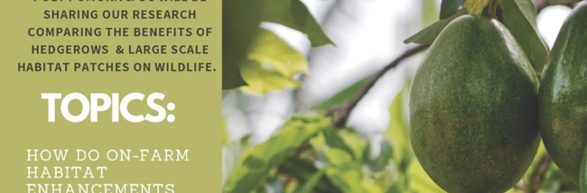 Wildlife workshop Feb 21 2025