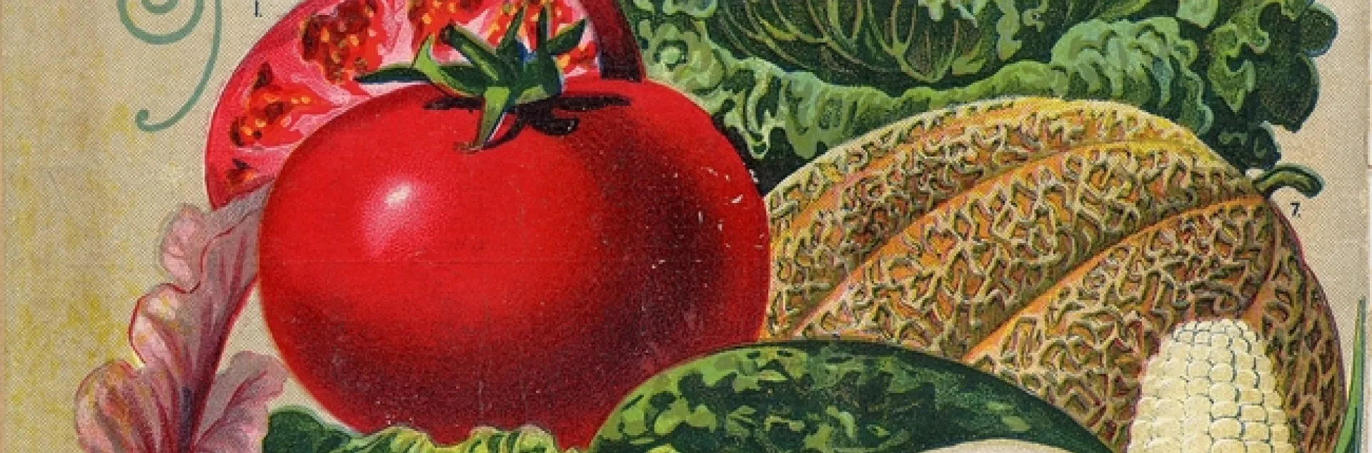 Vintage seed catalog with images of fruits and vegetables.
