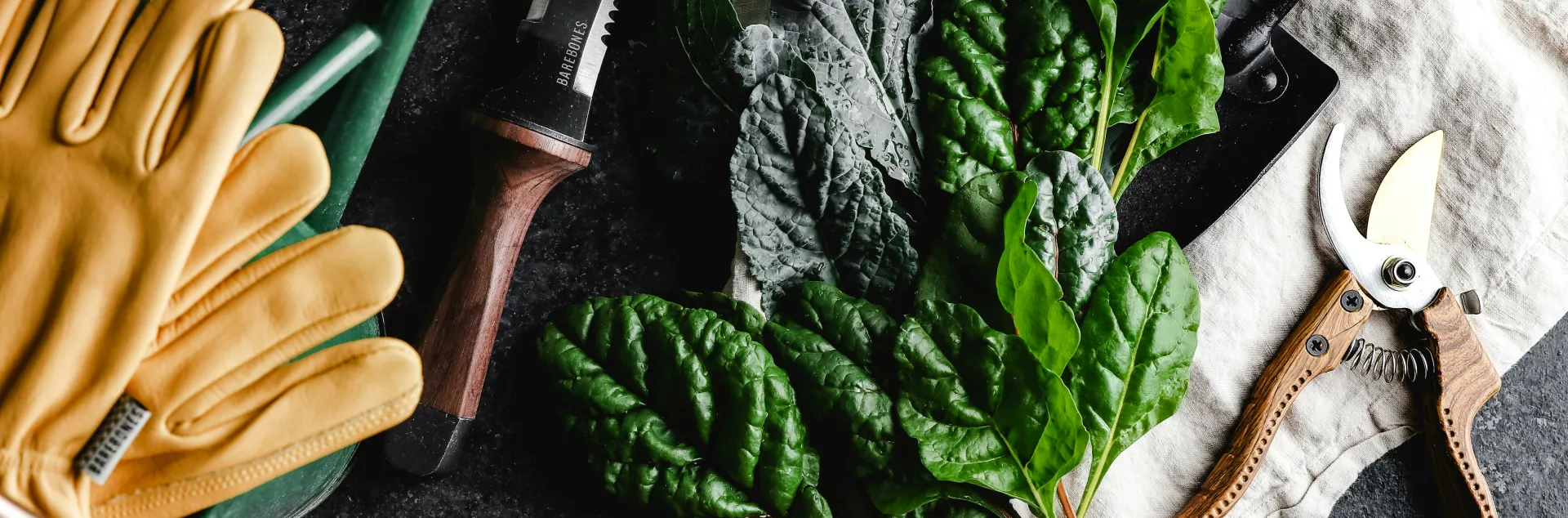 leigh-skomal-cUJc1mb3KVg-unsplash