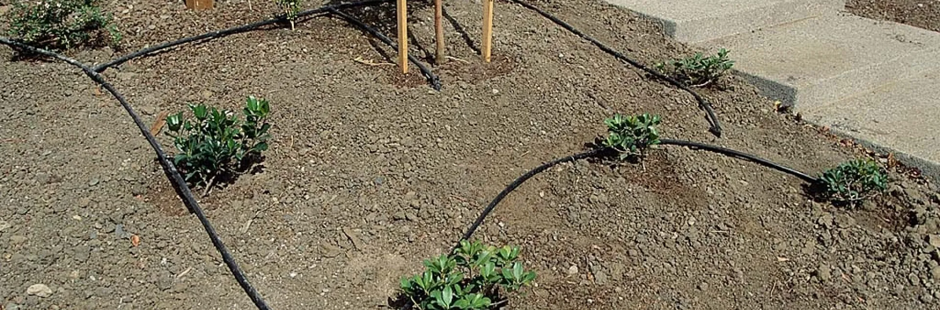 Installing an operating a drip watering system for your home garden