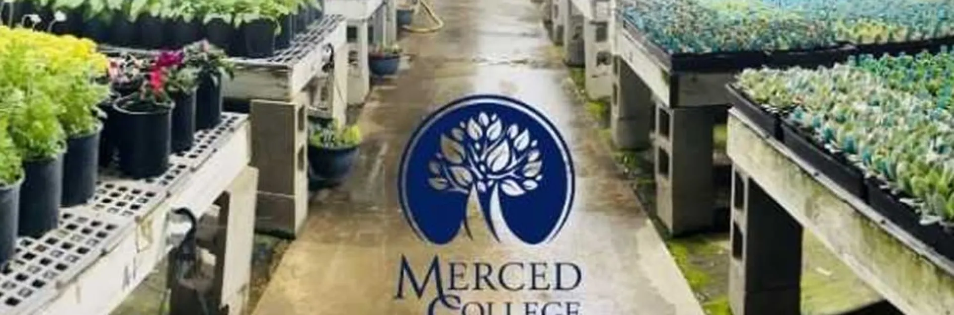 rows of plants displayed on plant tables at Merced College