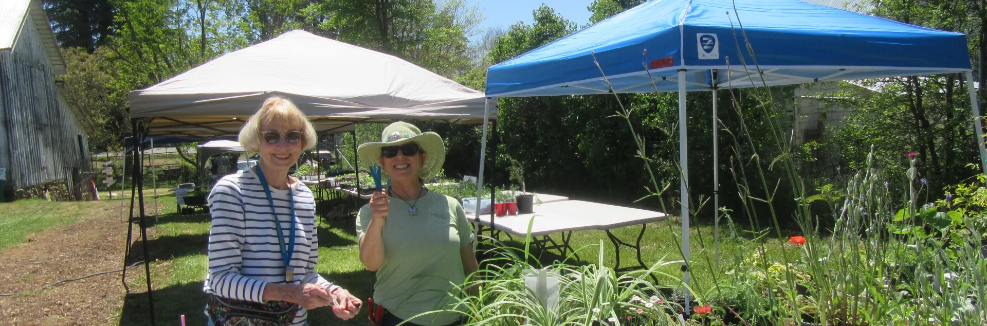 Plant Sale volunteers