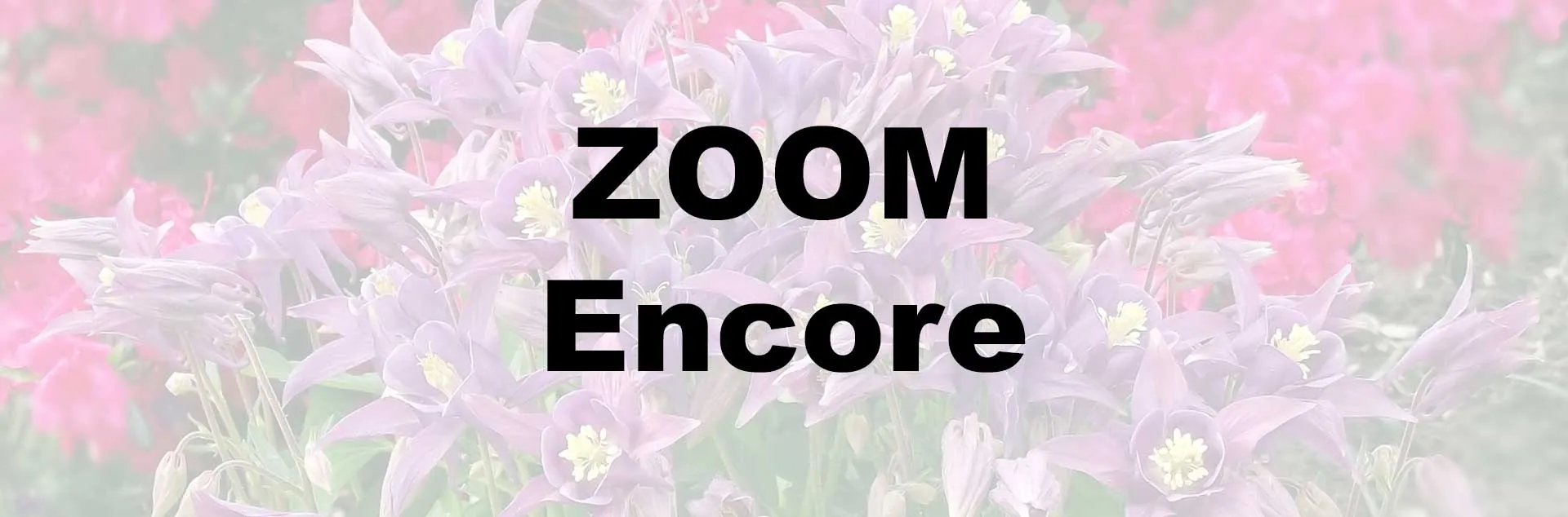 Gardening with Color ZOOM Encore