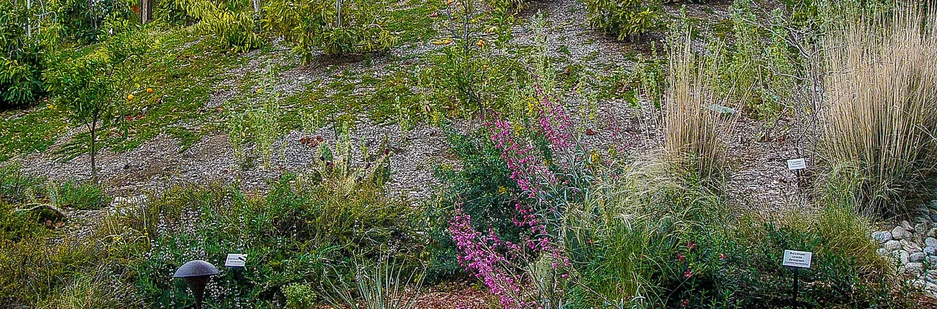 How To Make A Showcase Garden