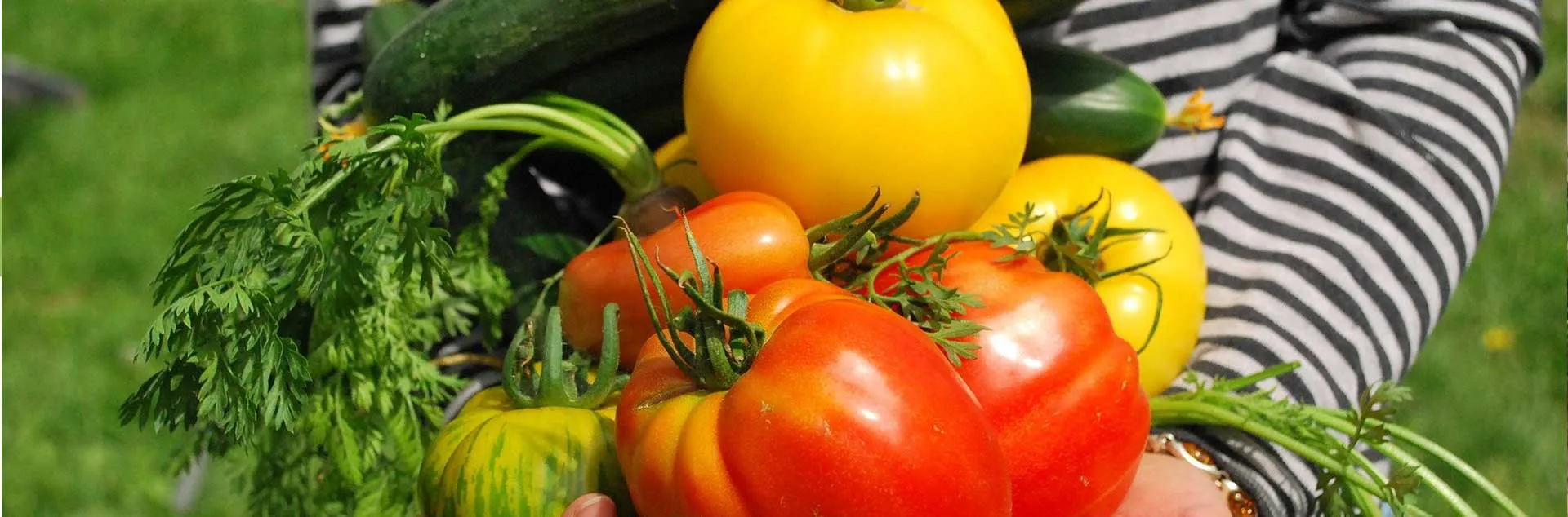 This Month In The Garden – April