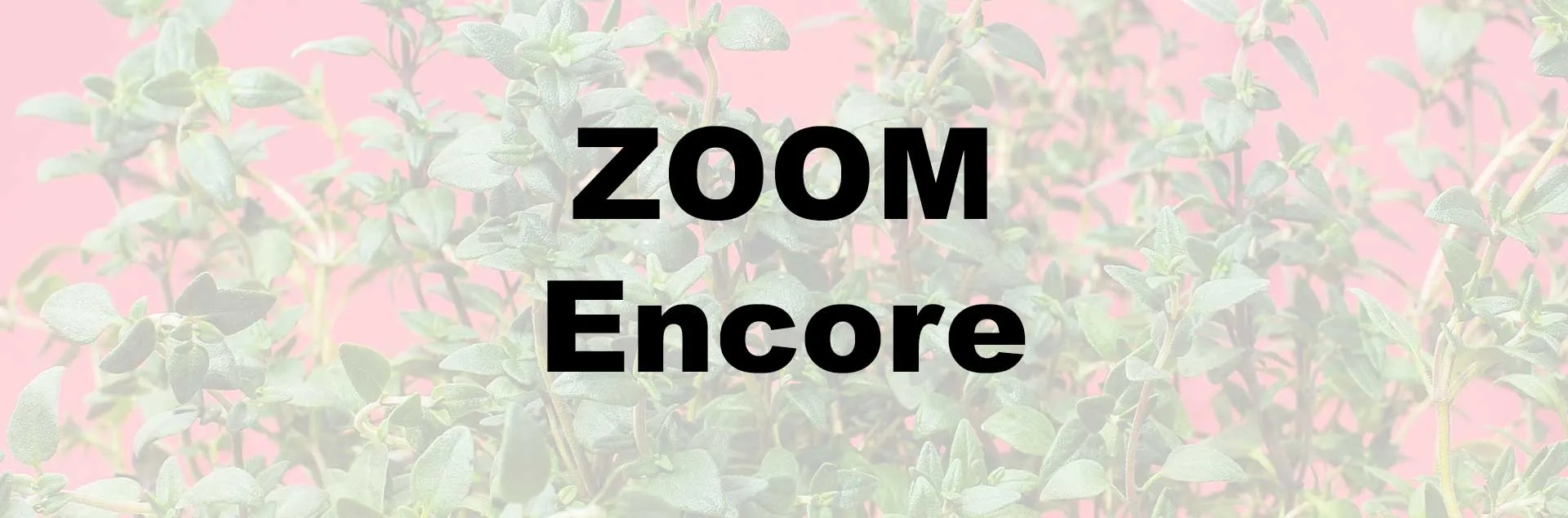 Herbs Zoom Encore