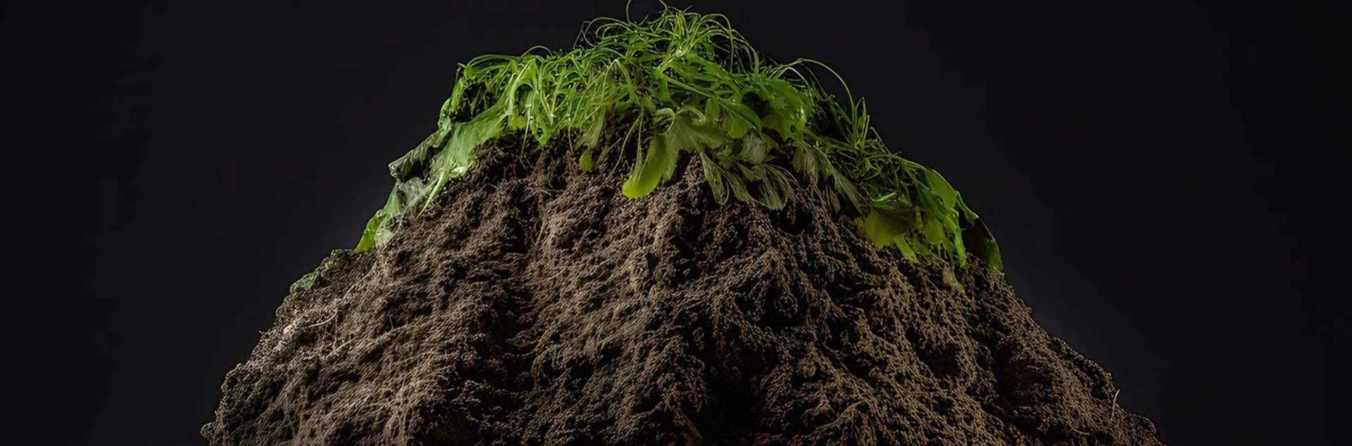 Compost: A Magical Transformation - Laguna Niguel