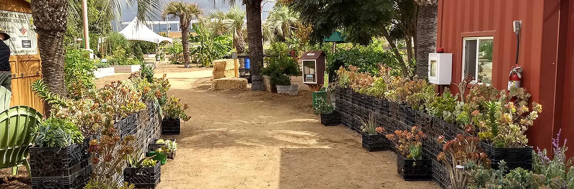 Water Better, Not Wetter - Irvine