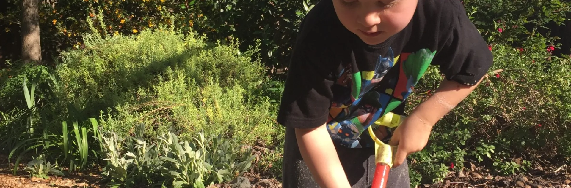 little blonde boy digging in with a shovel