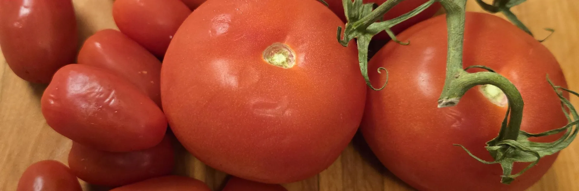 Tomatoes