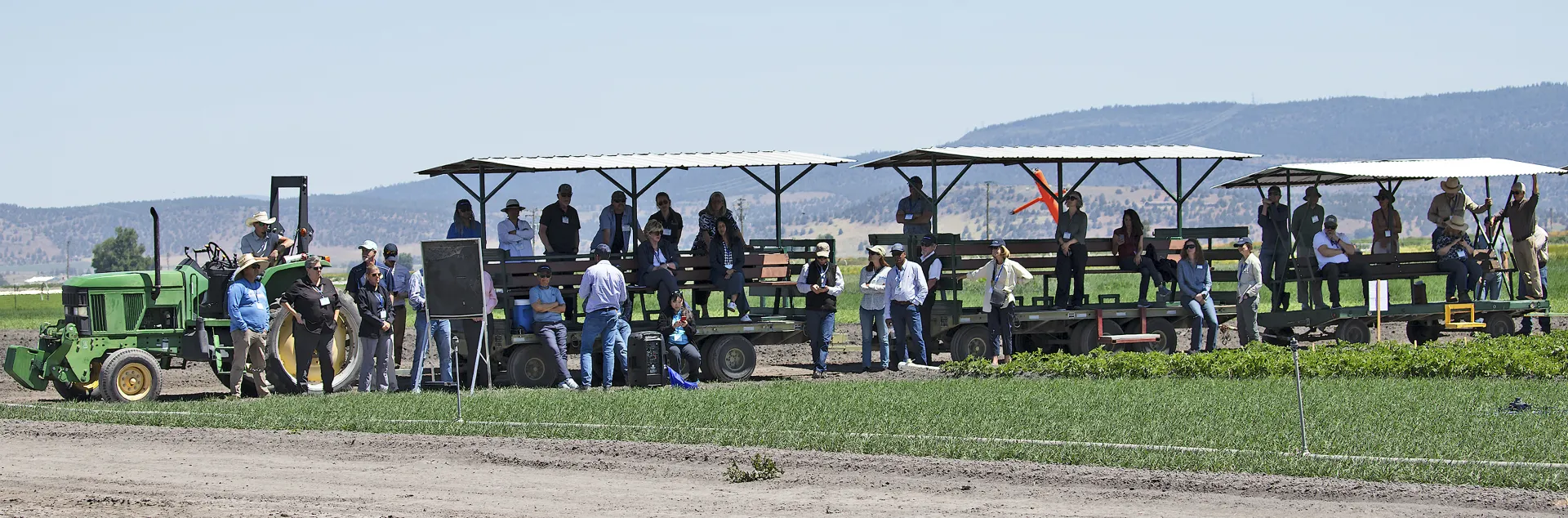 People in and around tram cars on the edge of a crop field