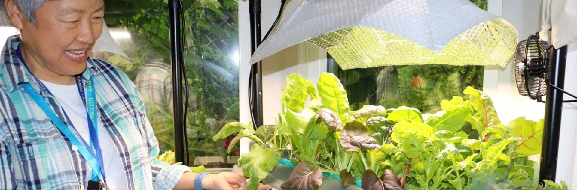 Hydroponic Gardening - Orange County