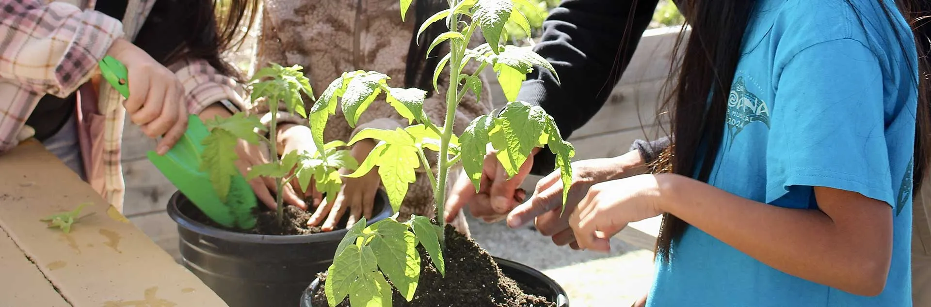 This Month In The Garden – July 2025