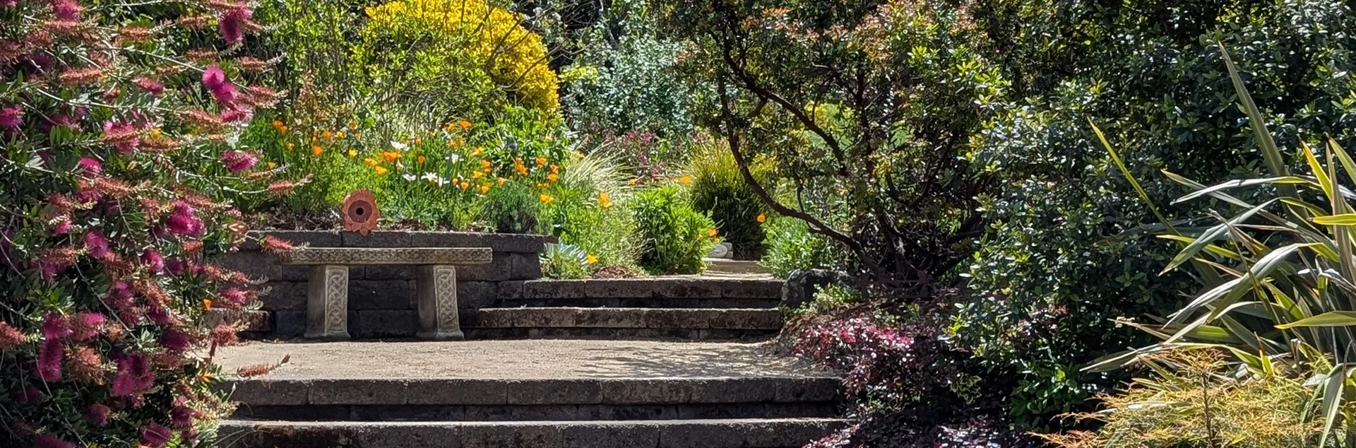 Right plant right place free garden webinar