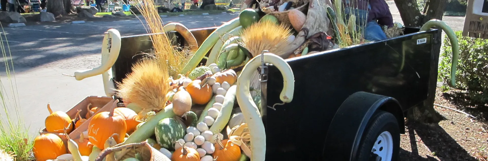 2025 Fall Faire Sept. 20 1-4 p.m. 1710 Soscol Ave.